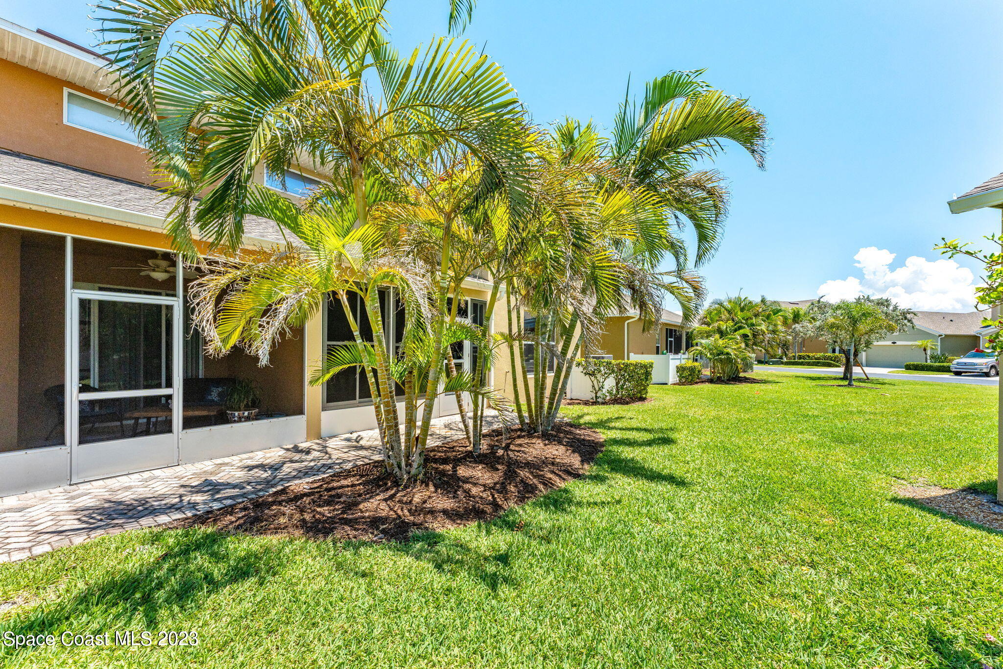 3310 Titanic Circle Indialantic, FL 32903 - Photo 18 of 25 a view of a backyard with a plants and palm trees