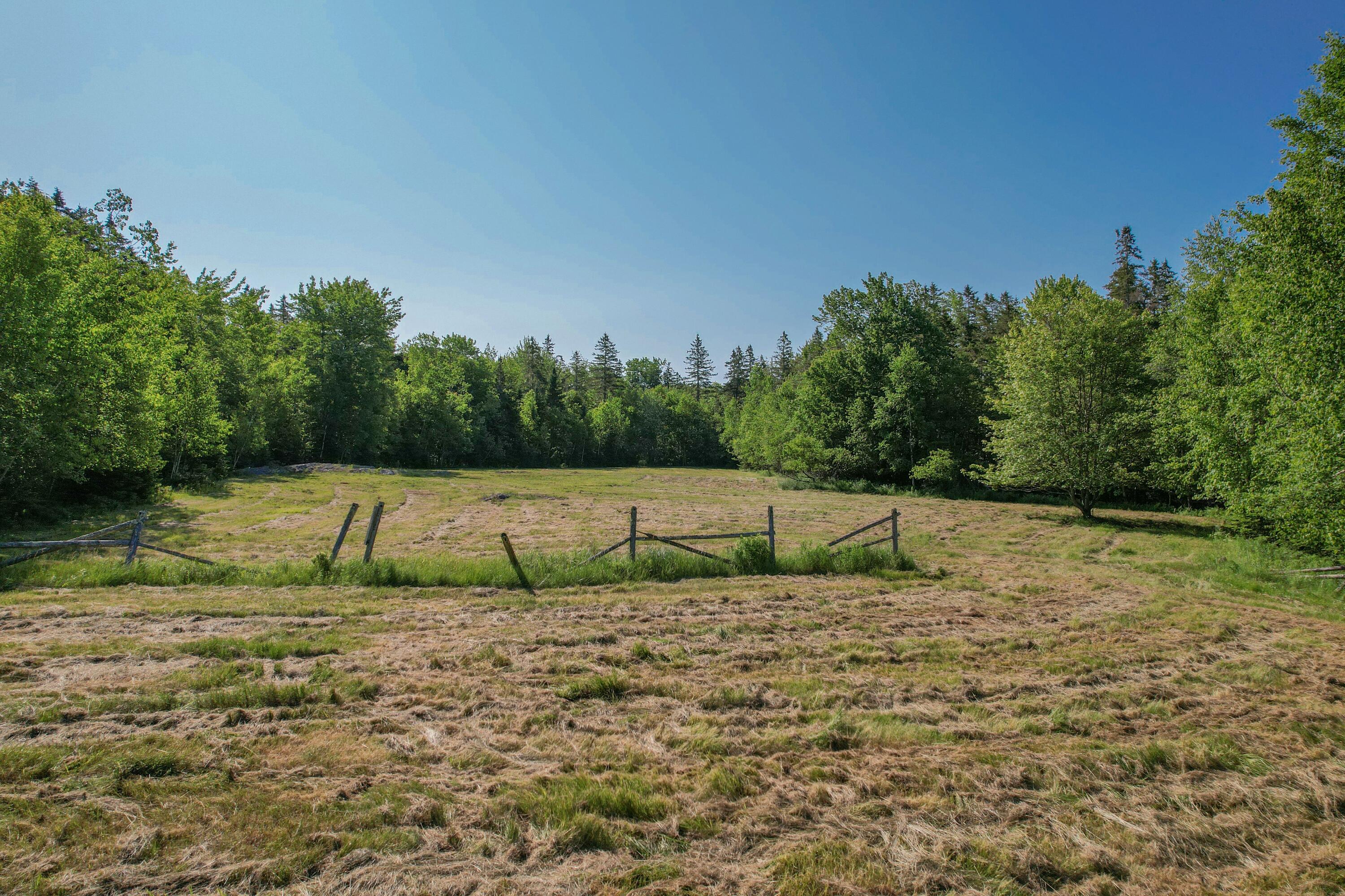 143 Eagle Point Road Lamoine, ME 04605 - Photo 59 of 74 Pasture