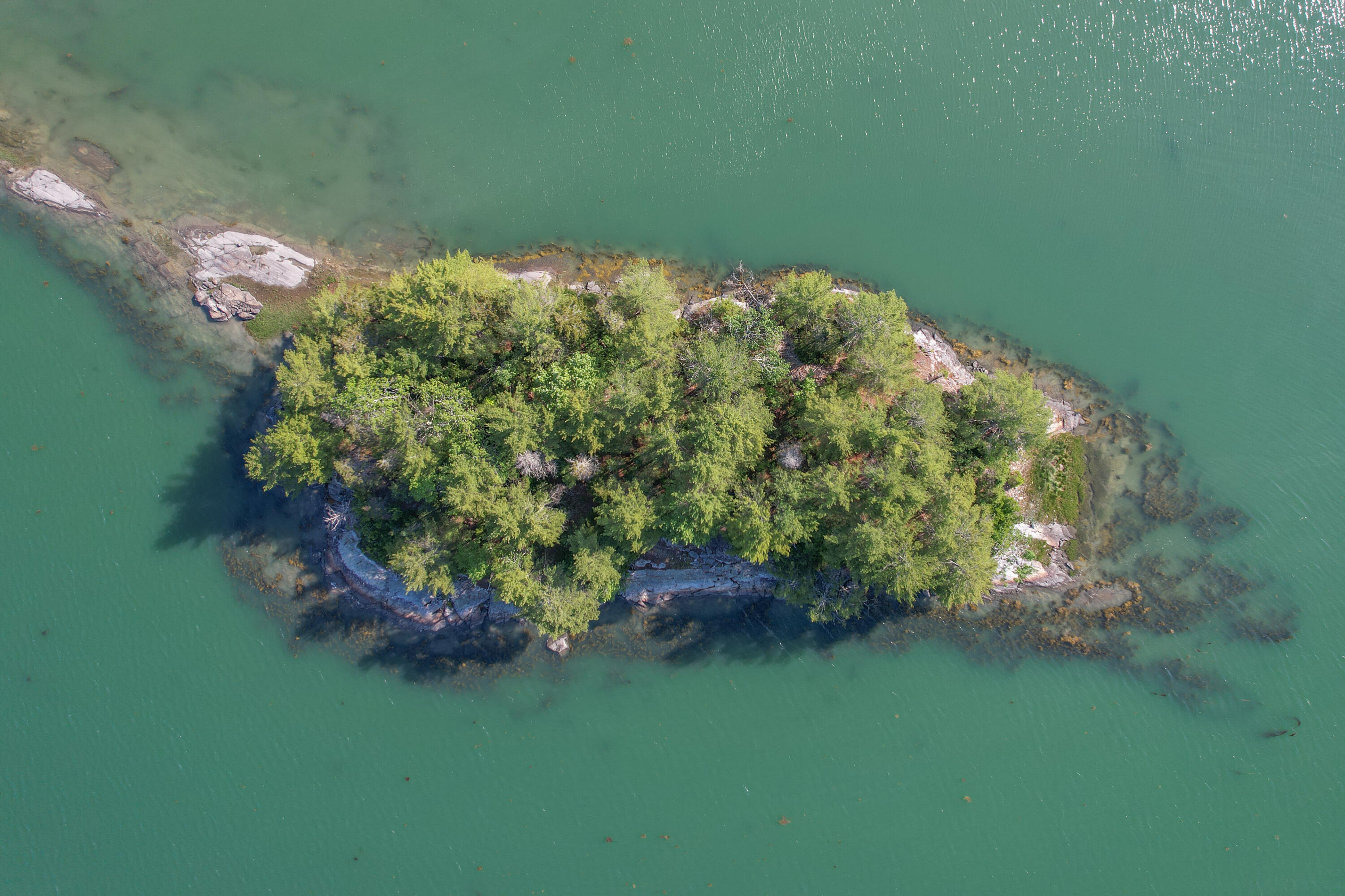 143 Eagle Point Road Lamoine, ME 04605 - Photo 62 of 74 Island