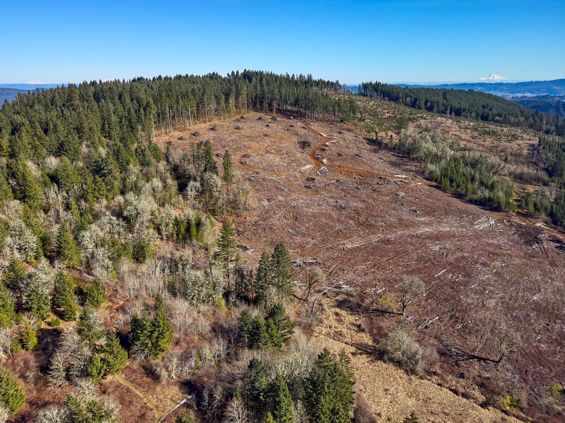 12610 Northwest Ford Road Gaston, OR 97119 - Photo 2 of 31 270_12610_Ford_1_web