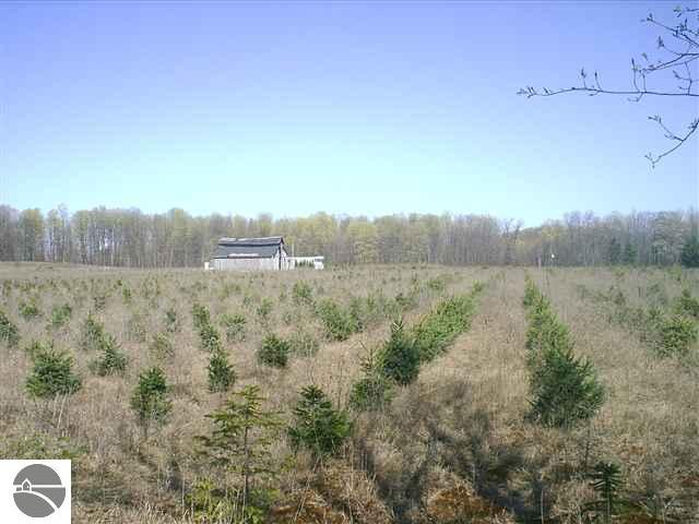 4275 Soderquist Road Mancelona, MI 49659 - Photo 1 of 6 1732957.JPG
