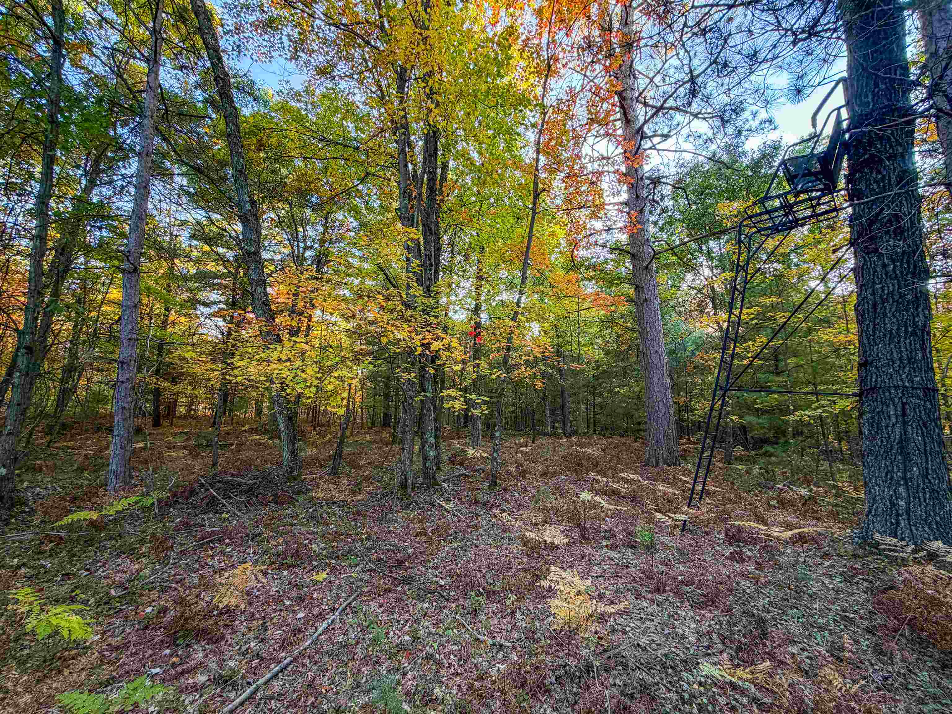0 Mckenna Warrens, WI 54666 - Photo 28 of 70 Gallery Image 28