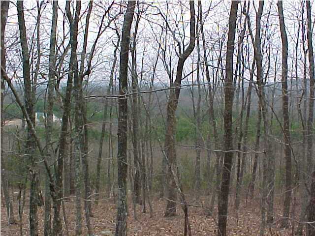 Primary Photo