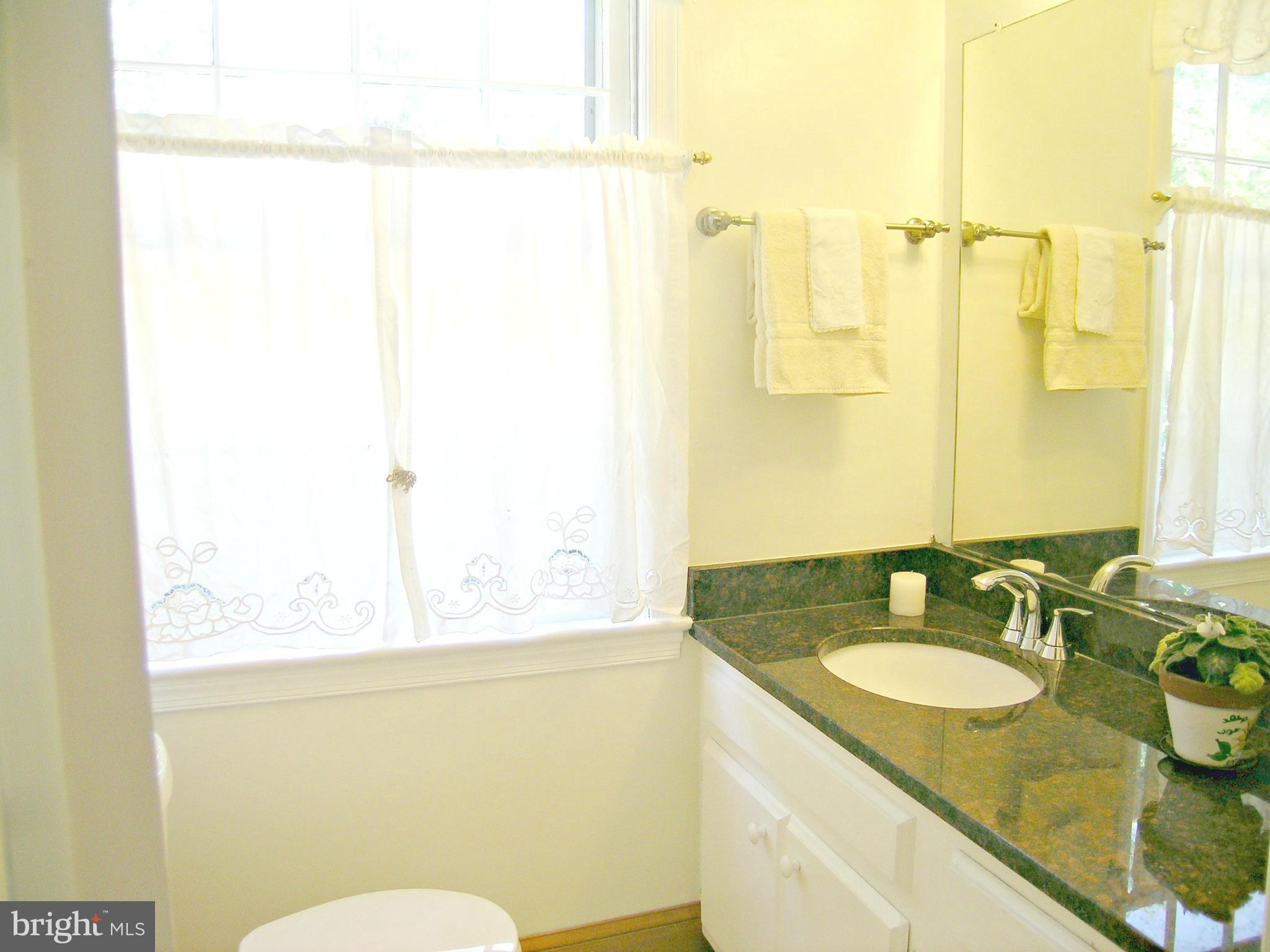 8009 Falstaff Road McLean, VA 22102 - Photo 16 of 24 Bath (Master)