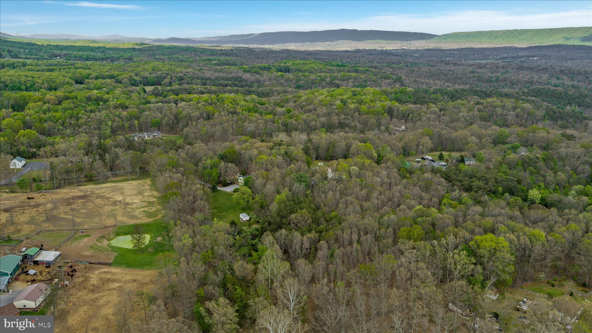 3691 Green Spring Road Winchester, VA 22603 - Photo 42 of 66