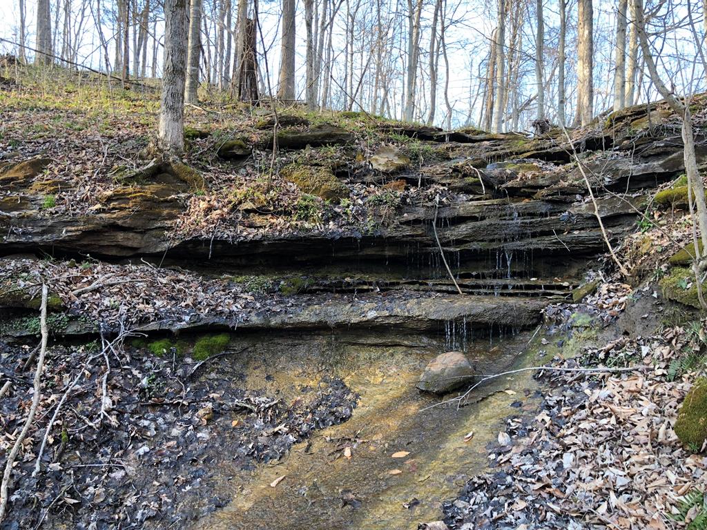 950 Johnney Harvey Road Breeding, KY 42715 - Photo 20 of 26 Gallery Image 20