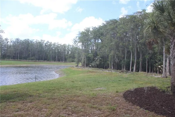 a view of outdoor space with trees all around