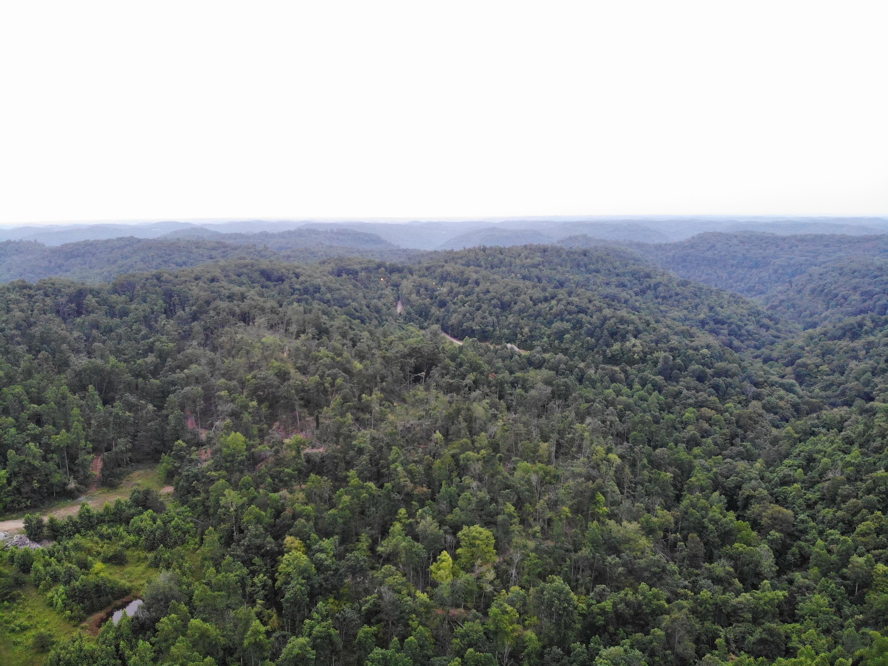9015 McKee Road Irvine, KY 40336 - Photo 10 of 33 DJI_0010