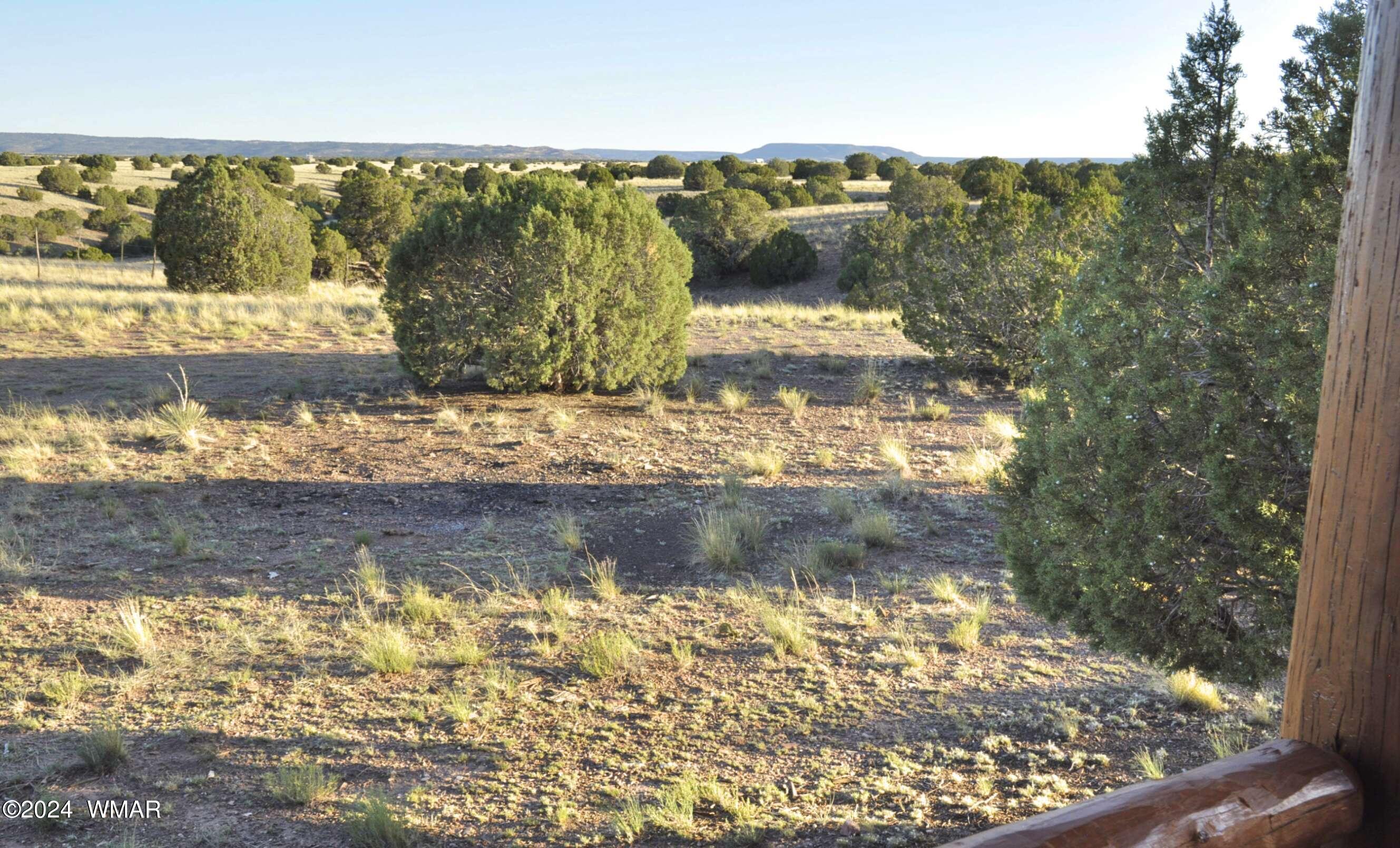 7 N9017 Concho, AZ 85924 - Photo 41 of 68 69