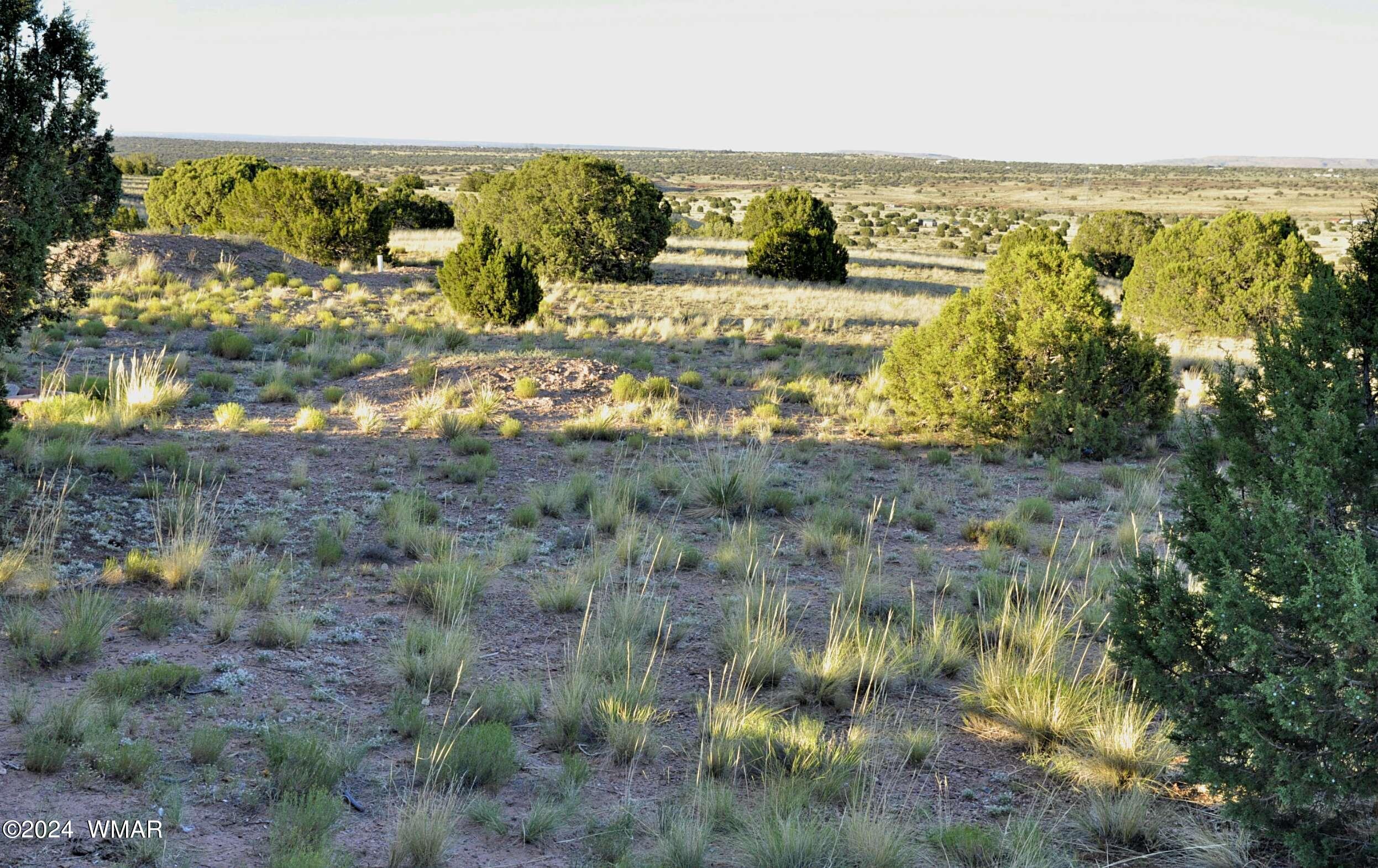 7 N9017 Concho, AZ 85924 - Photo 46 of 68 71