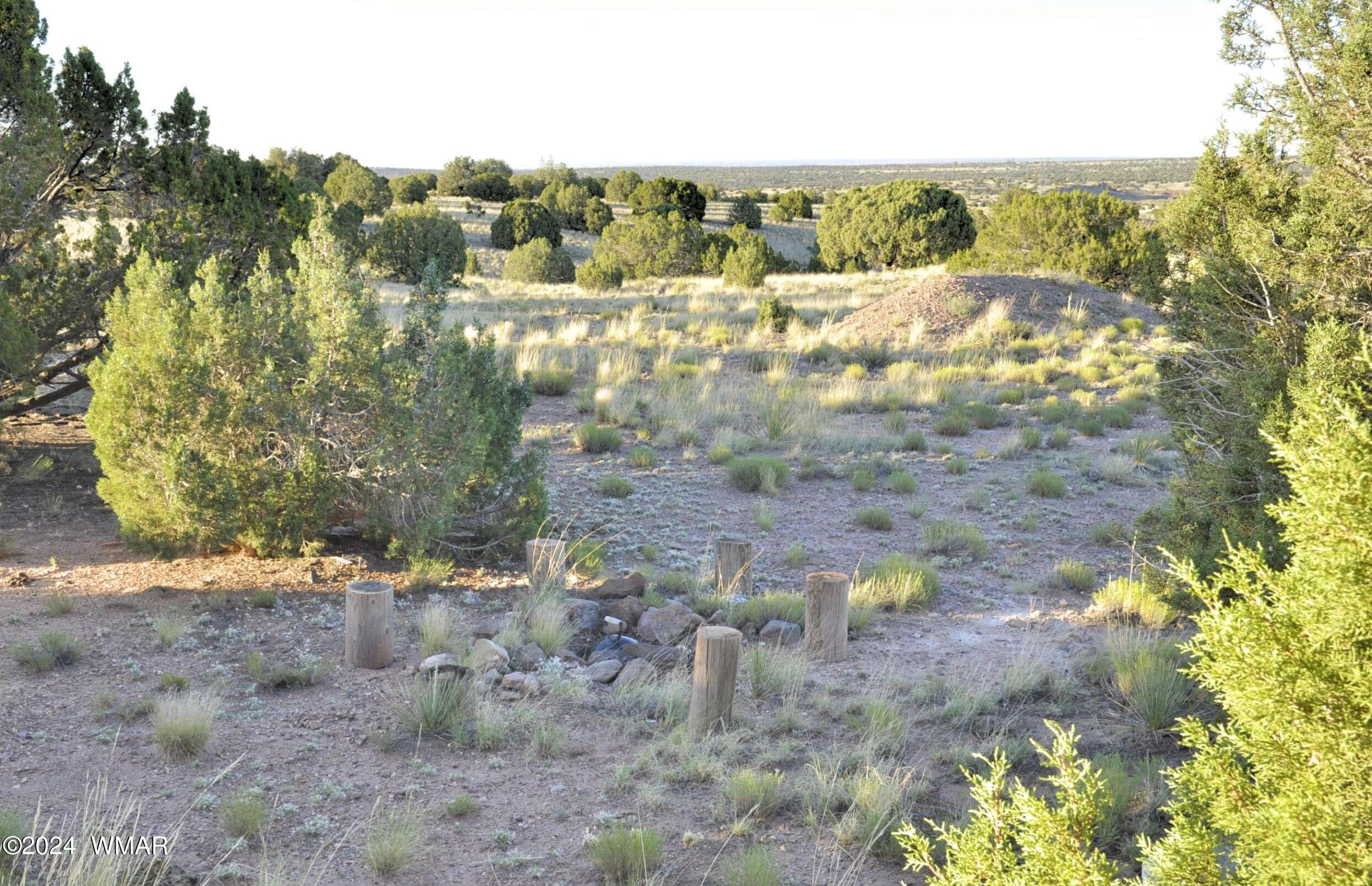 7 N9017 Concho, AZ 85924 - Photo 47 of 68 73