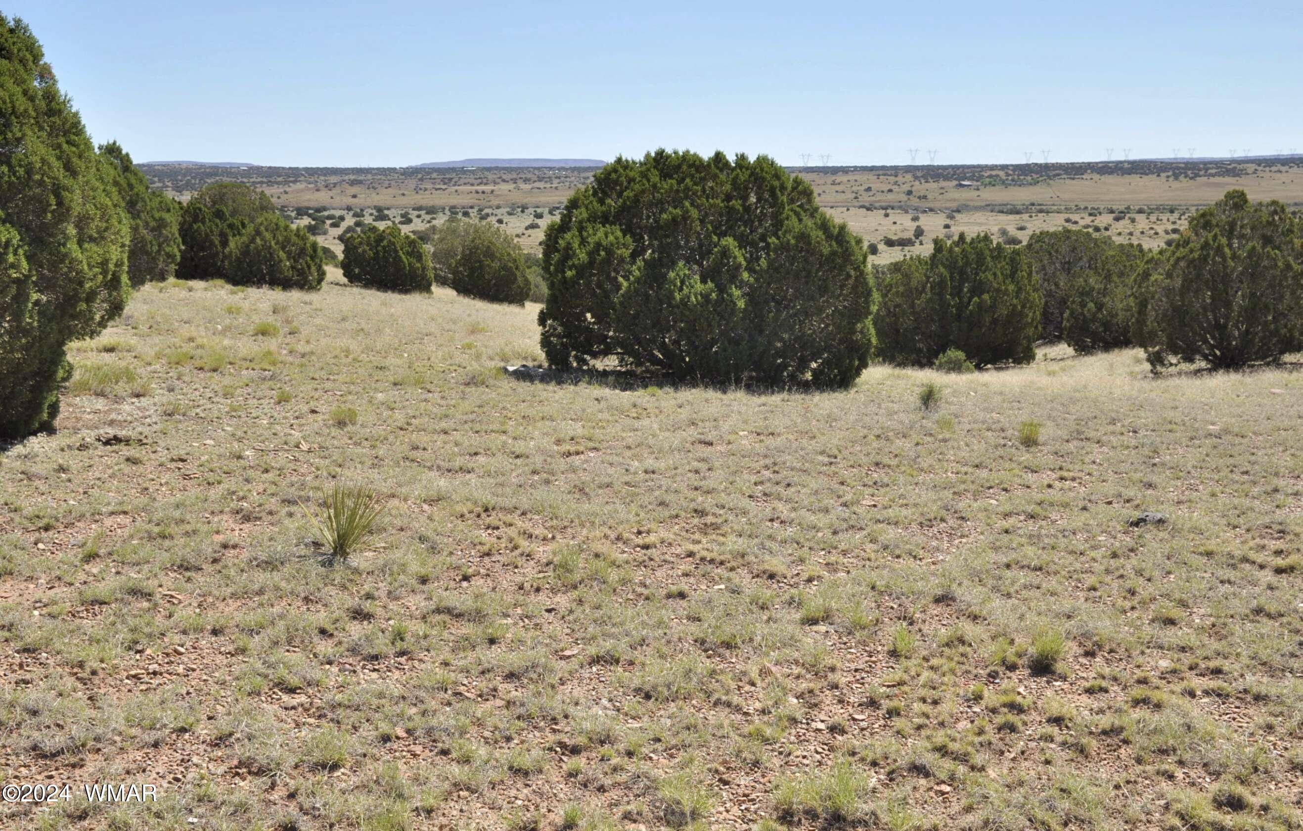 7 N9017 Concho, AZ 85924 - Photo 48 of 68 14