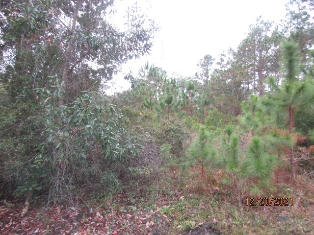 148 Doe Street Carrabelle, FL 32322 - Photo 2 of 9