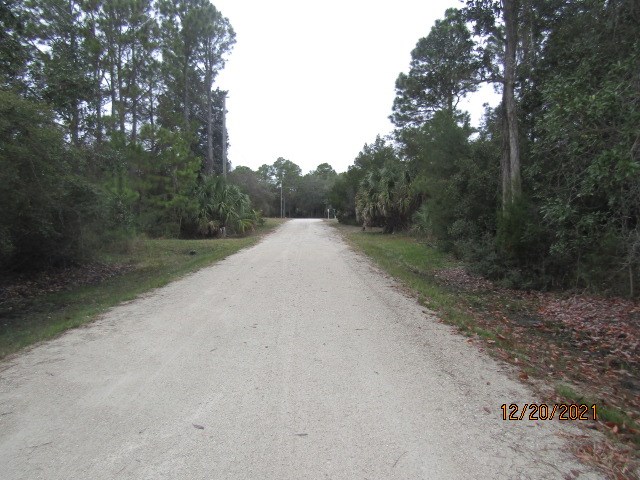 148 Doe Street Carrabelle, FL 32322 - Photo 3 of 9