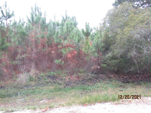 148 Doe Street Carrabelle, FL 32322 - Photo 4 of 9