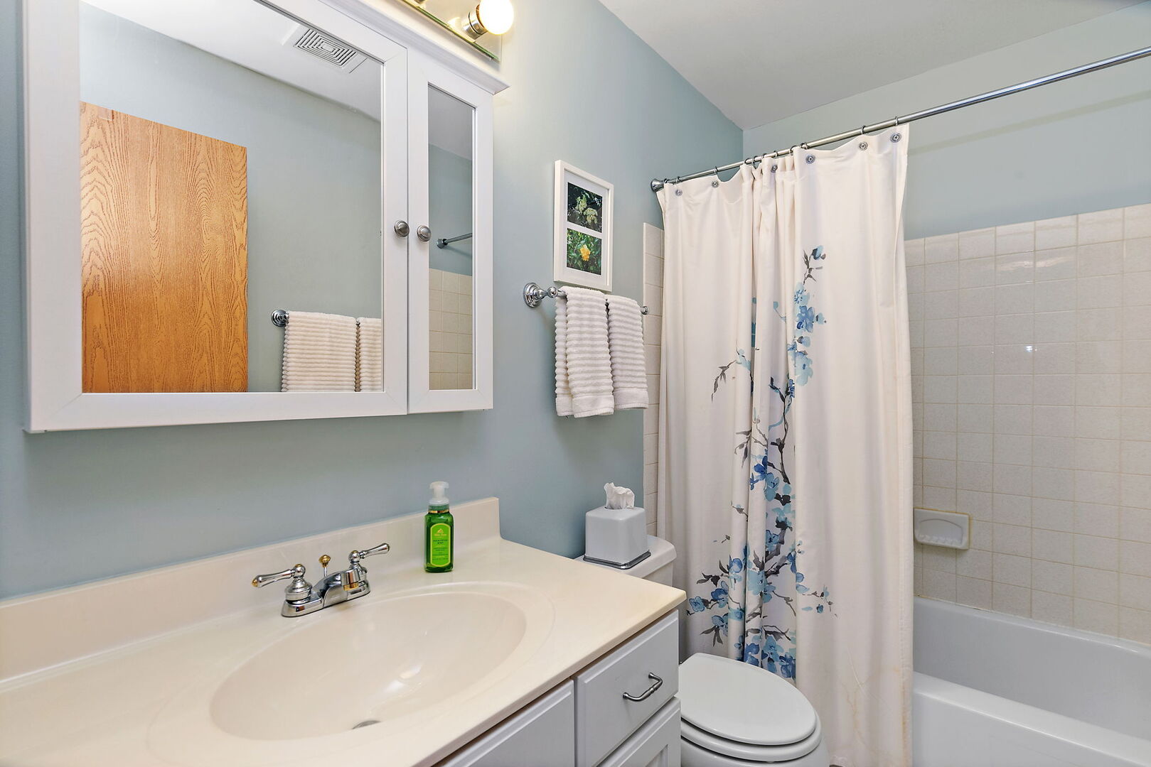 632 Bridgeview Point Schaumburg, IL 60194 - Photo 10 of 25 a bathroom with a sink a toilet and shower