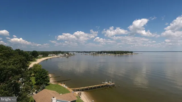 a view of a lake in middle of forest