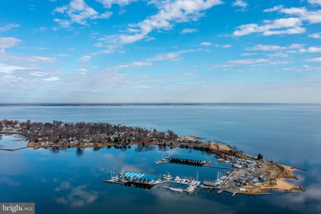 a view of a swimming pool with a bench and a couch