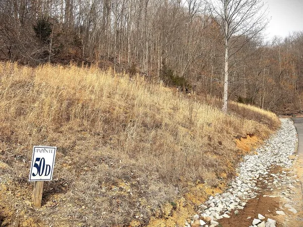 a view of a back yard