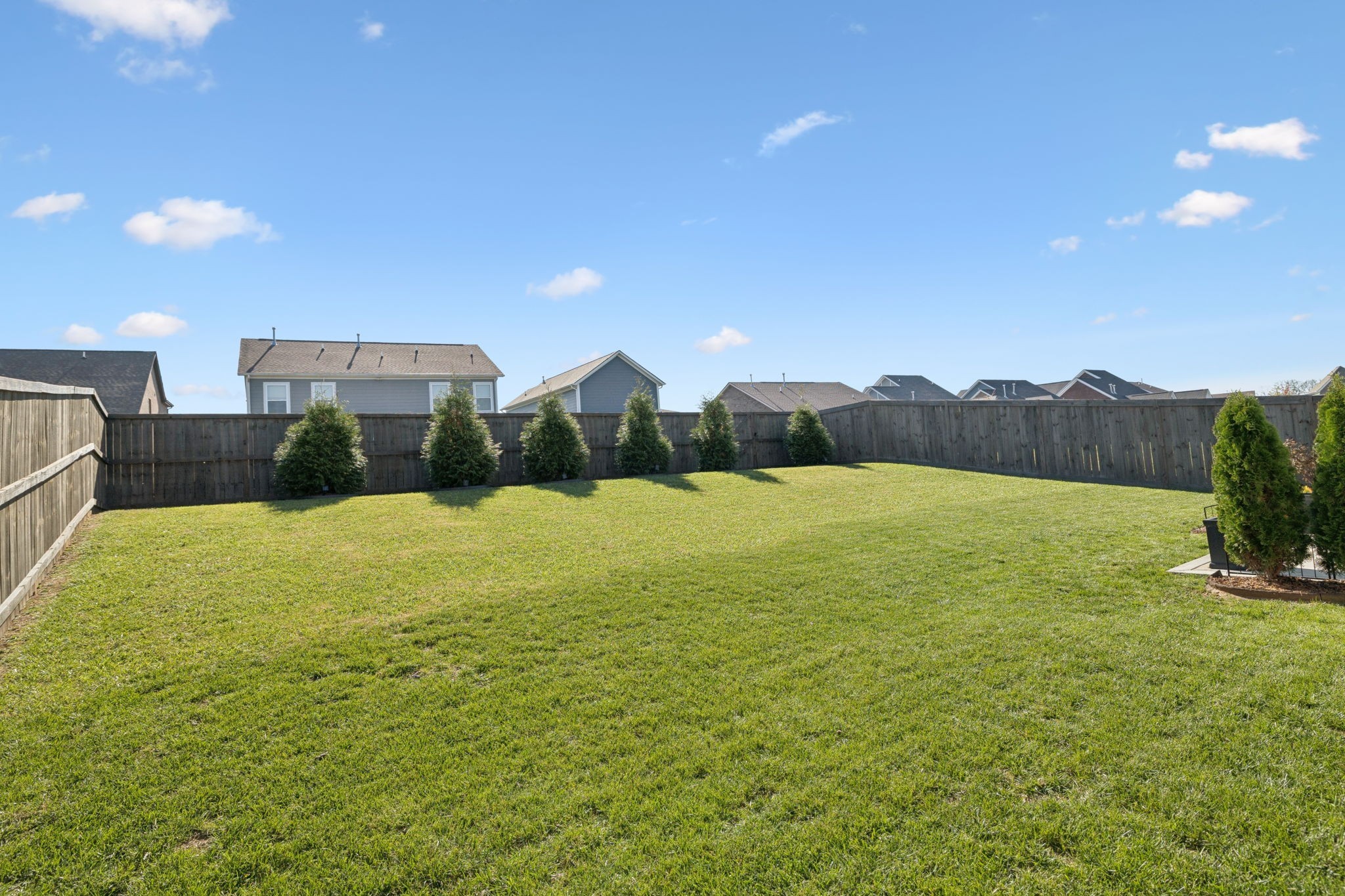 3015 Shandor St Spring Hill Spring Hill, TN 37174 - Photo 53 of 78