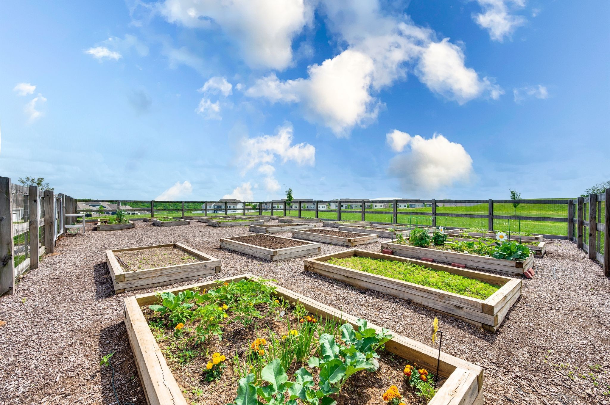 3015 Shandor St Spring Hill Spring Hill, TN 37174 - Photo 72 of 78