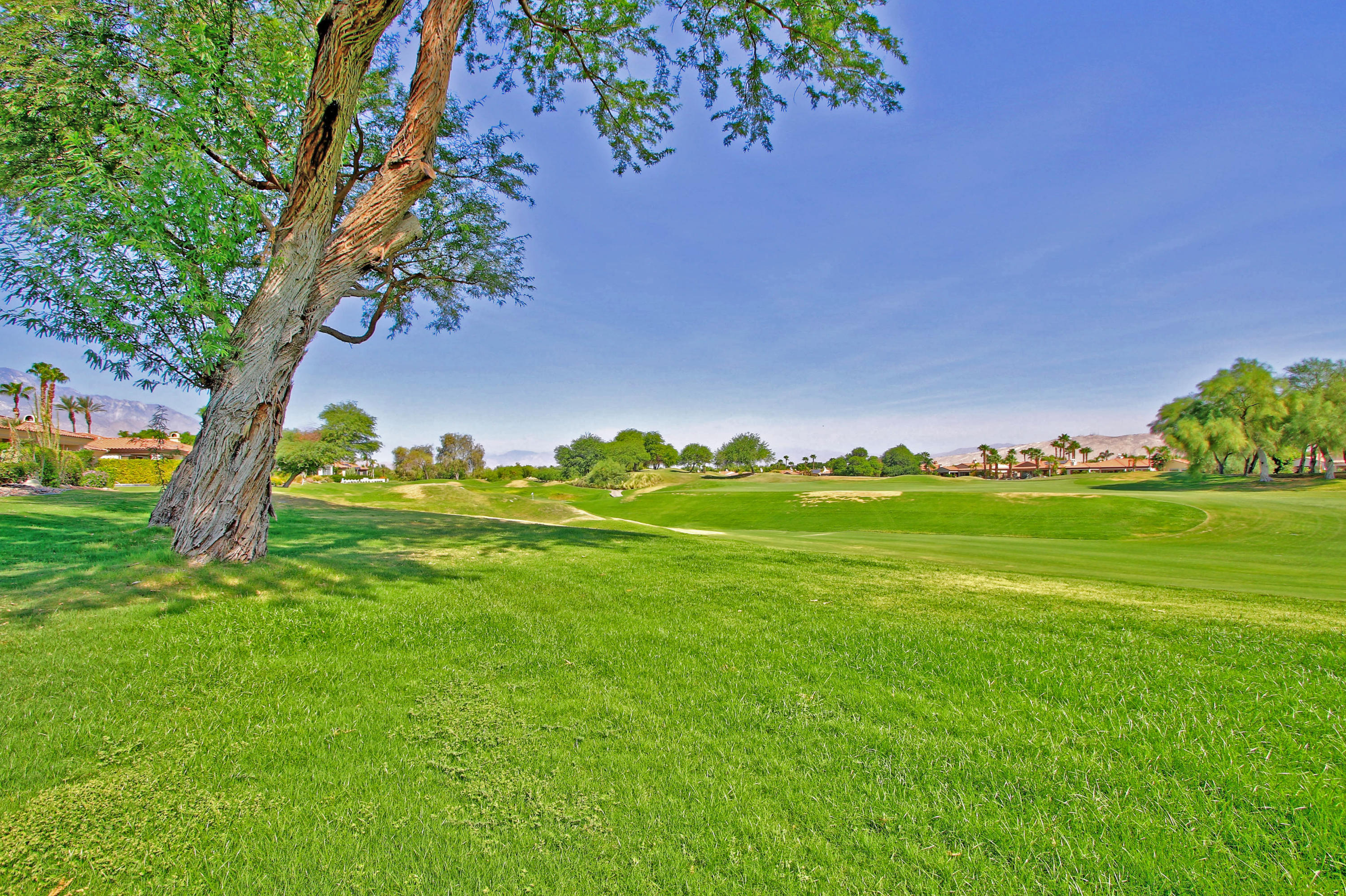 130 Loch Lomond Road Rancho Mirage, CA 92270 - Photo 48 of 65 jjjj