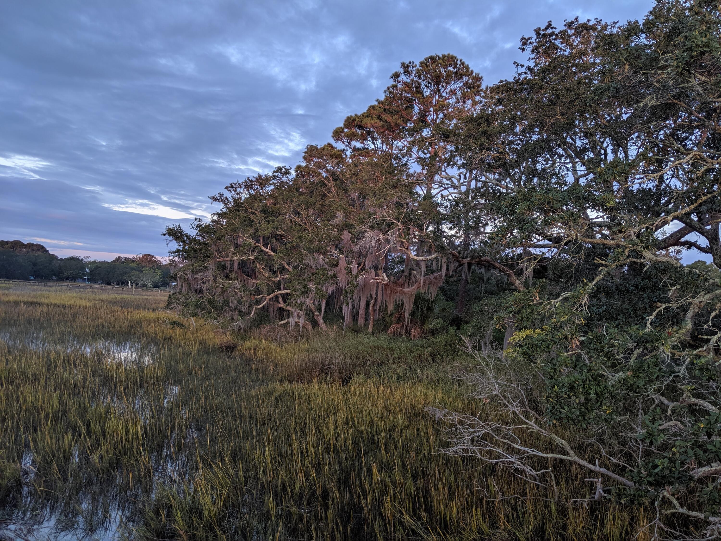 1582 Charming Nancy Road Charleston, SC 29412 - Photo 11 of 11 View from the dock