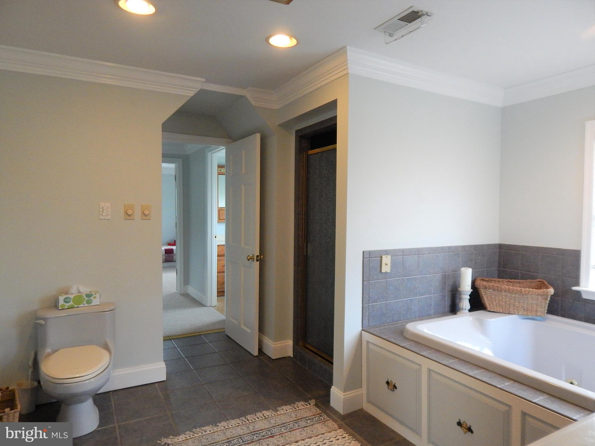 1379 Cedar Grove Road Winchester, VA 22603 - Photo 38 of 57 Master Bathroom with jetted tub