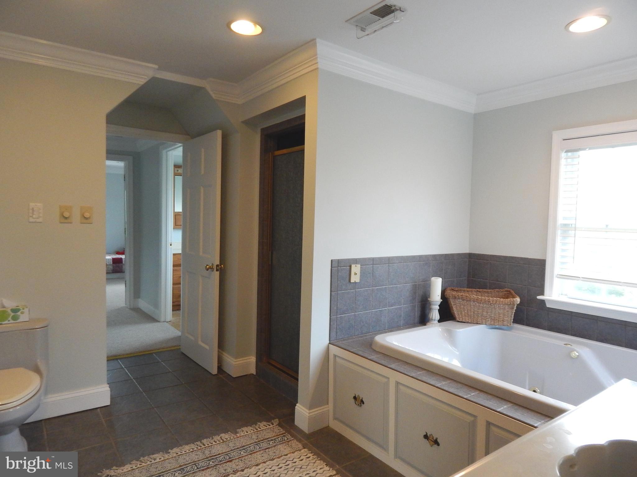 1379 Cedar Grove Road Winchester, VA 22603 - Photo 40 of 57 Master bathroom