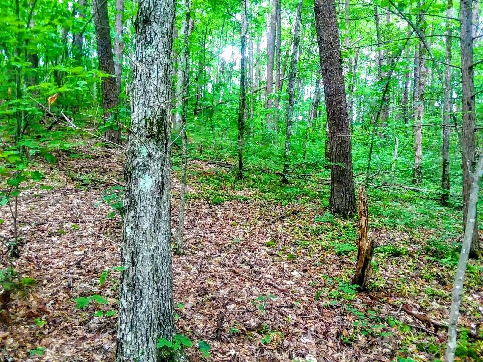 825 Smokey Branch Road Vonore, TN 37885 - Photo 1 of 5 825 Smokey 1