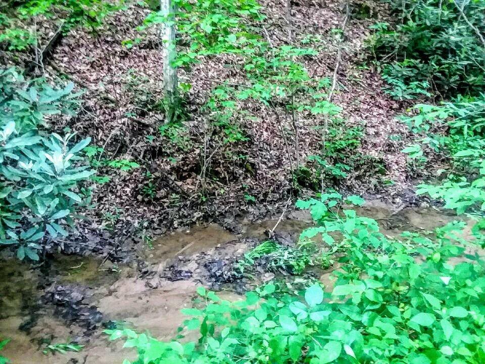 825 Smokey Branch Road Vonore, TN 37885 - Photo 4 of 5 825 Smokey 2