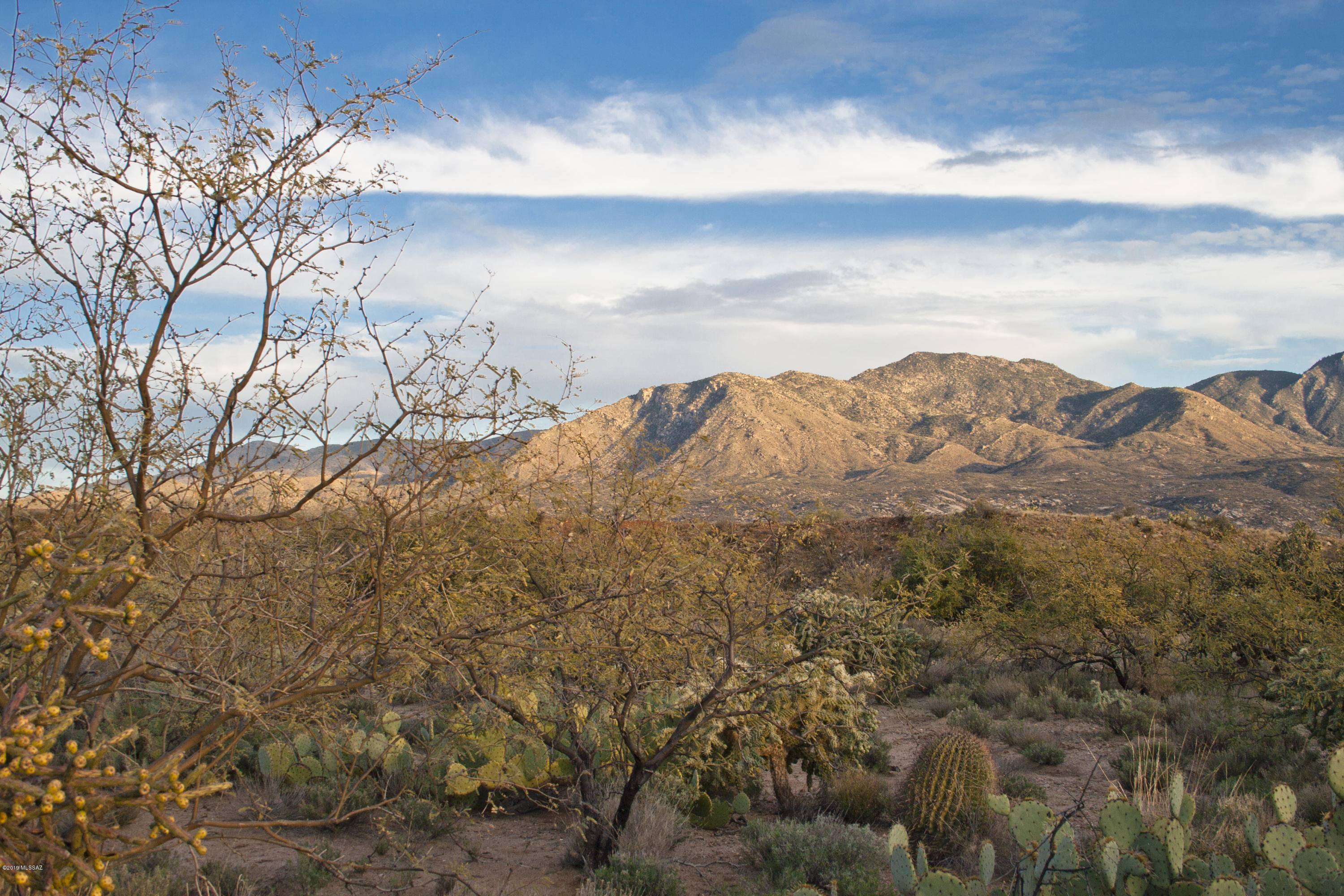 0 East Horseshoe Bend Road, Unit 2 Tucson, AZ 85739 - Photo 1 of 4
