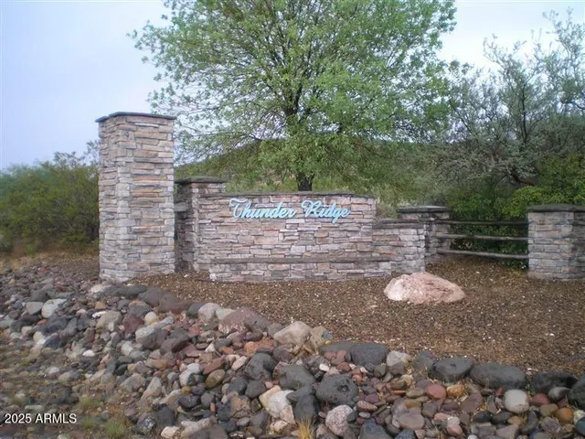 a view of a yard with trees