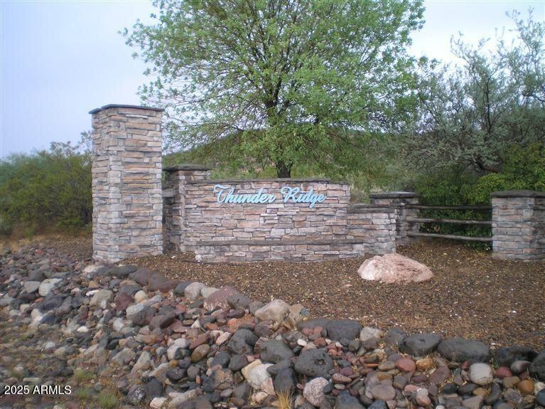 a view of a yard with trees