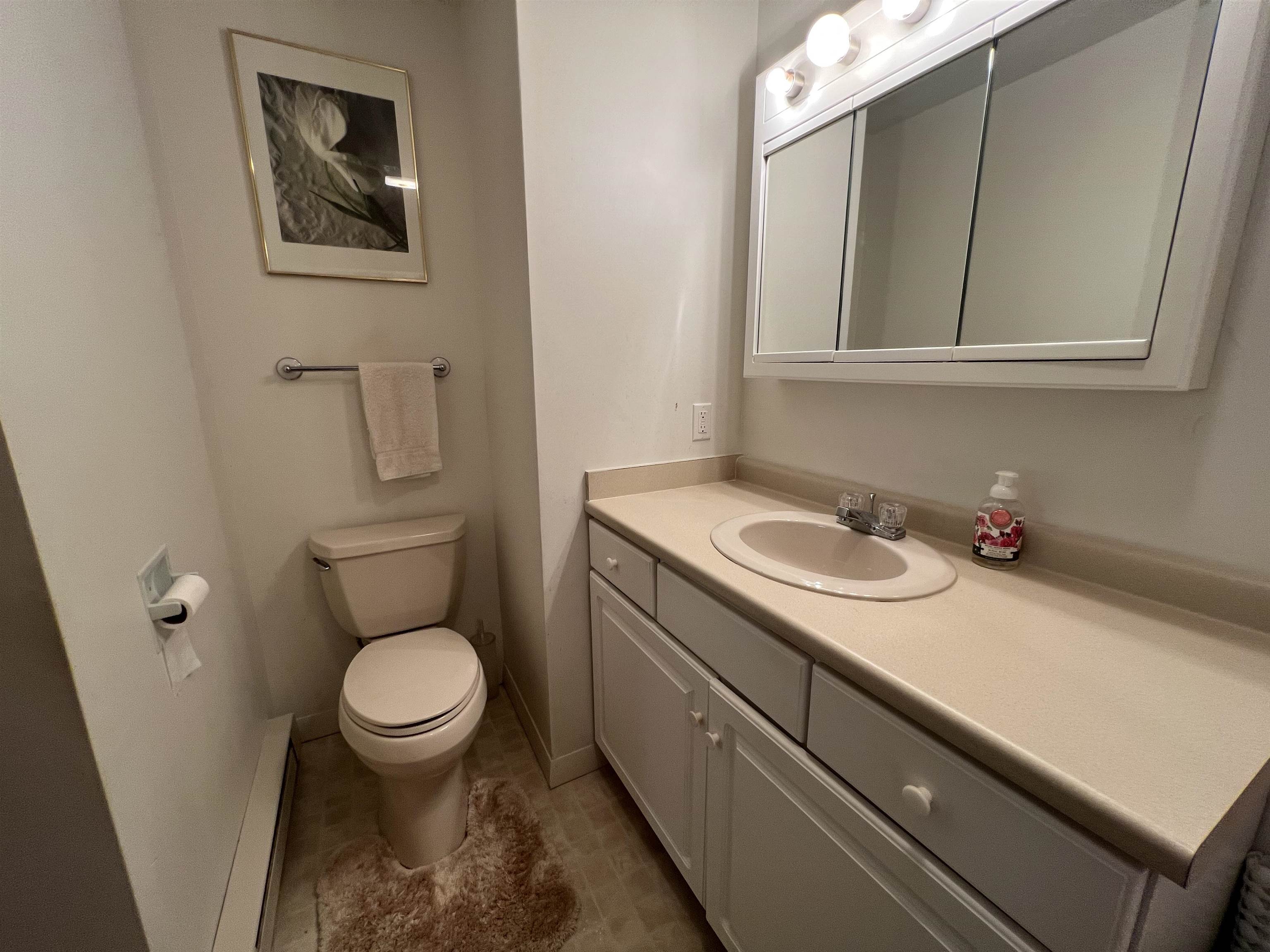 8 Summit Vista Road, Unit A3 Bartlett, NH 03845 - Photo 16 of 20