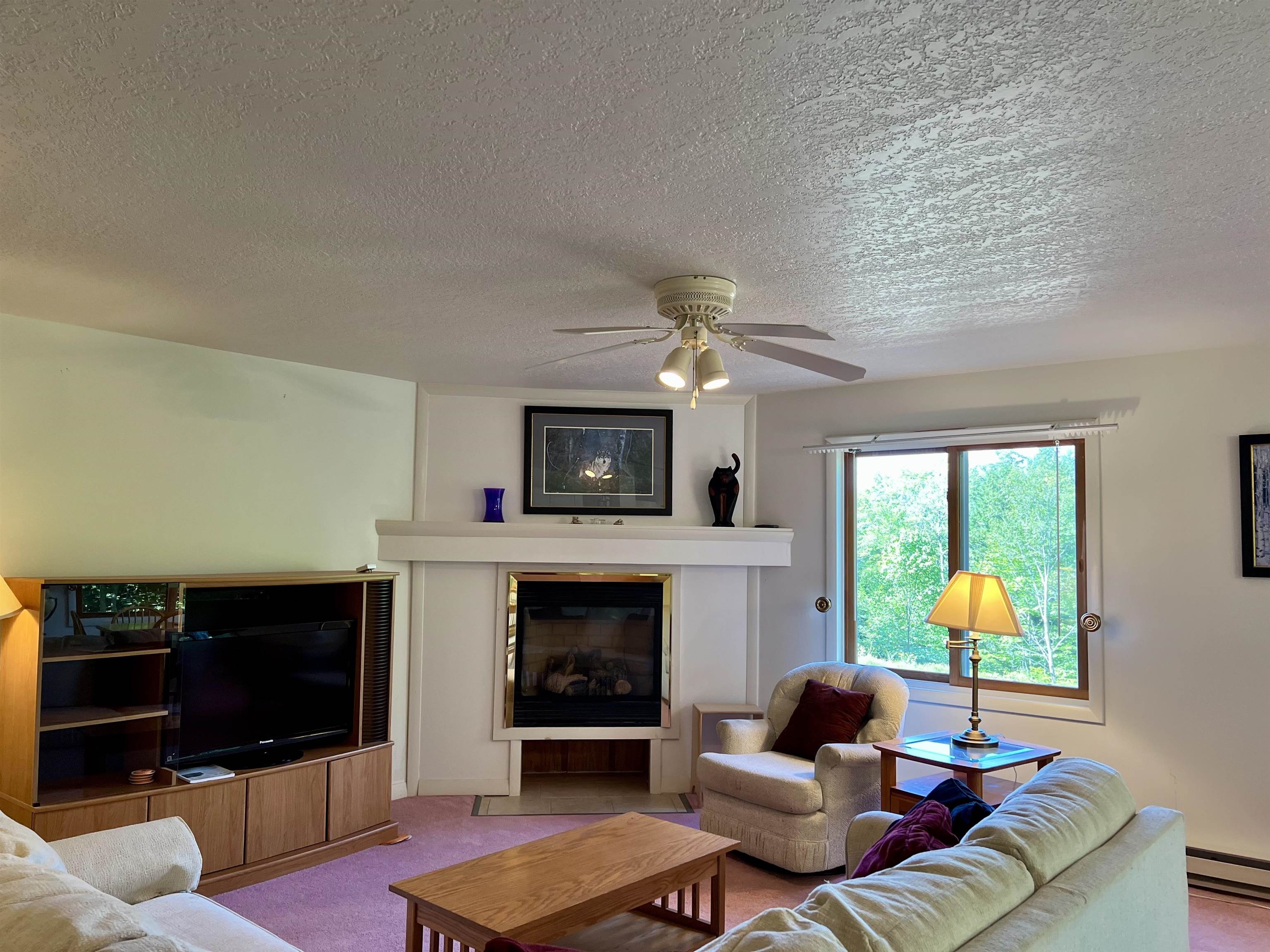 8 Summit Vista Road, Unit A3 Bartlett, NH 03845 - Photo 9 of 20