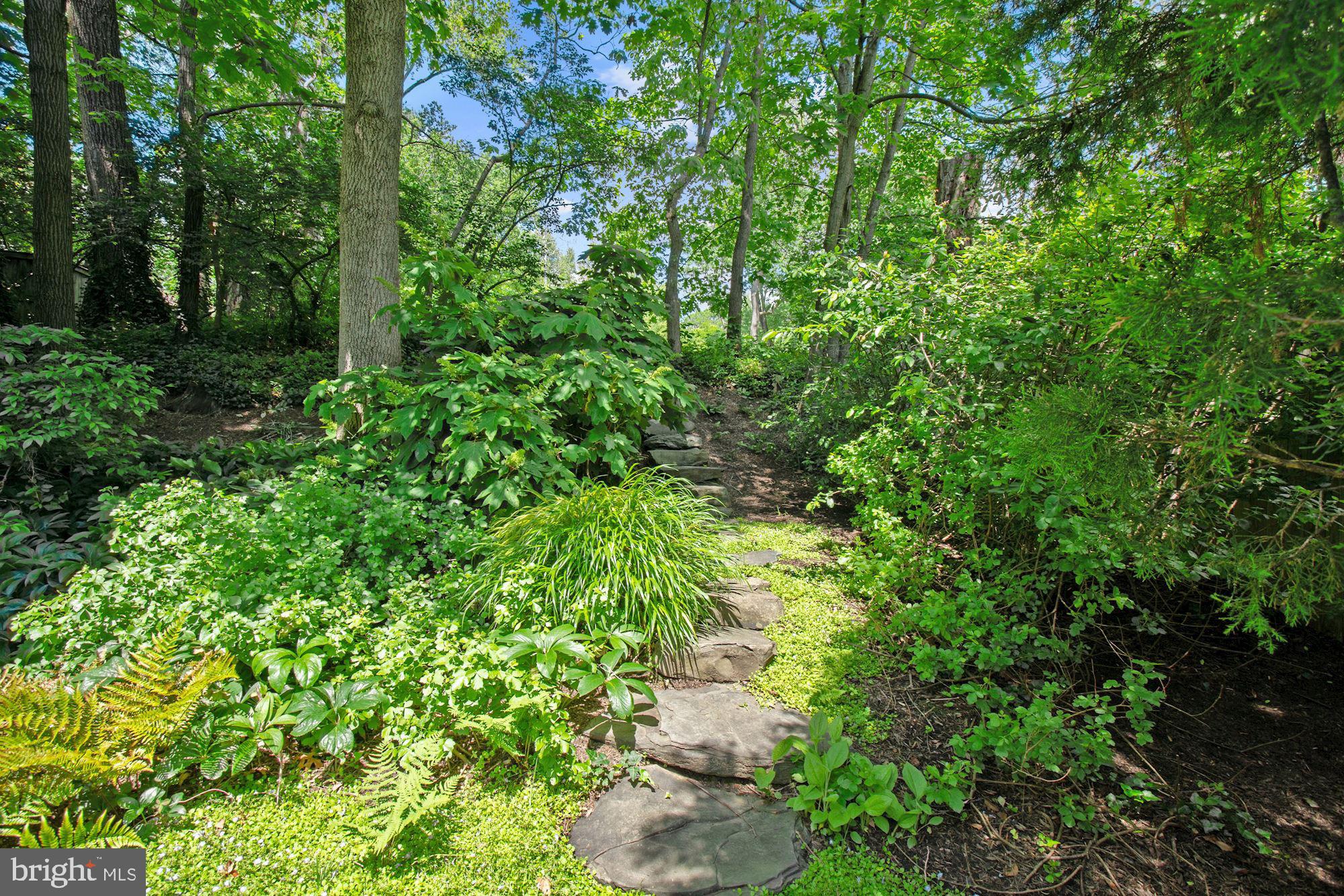 6301 West Halbert Road Bethesda, MD 20817 - Photo 52 of 55