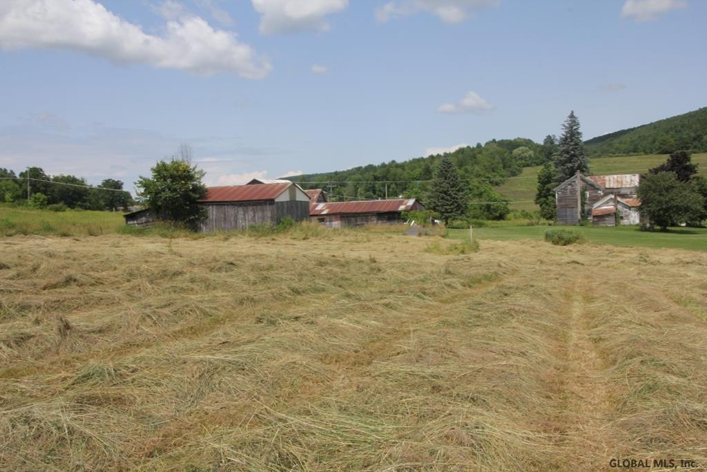 105 Hill Road Cobleskill, NY 12043 - Photo 8 of 26 Photo 8