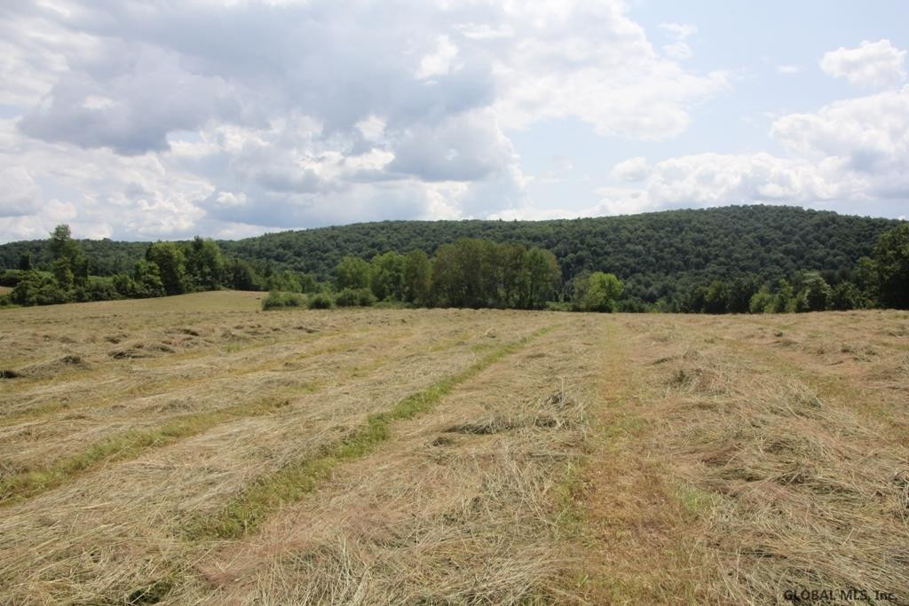 105 Hill Road Cobleskill, NY 12043 - Photo 9 of 26 Photo 9