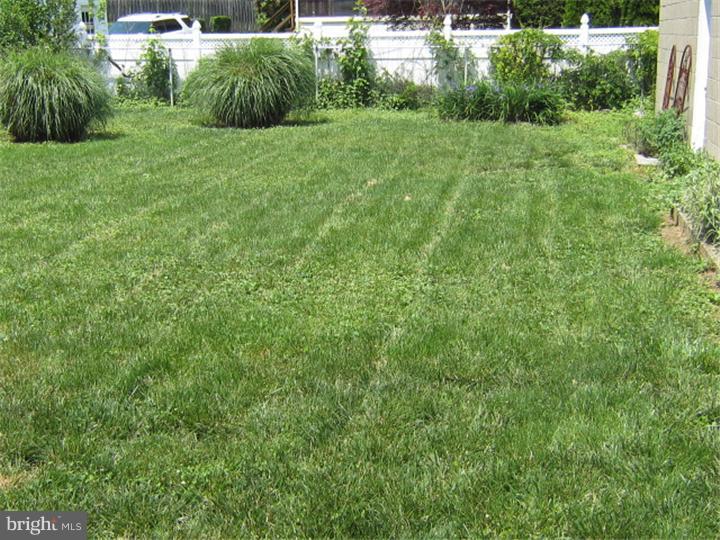 524 Paddock Road Havertown, PA 19083 - Photo 4 of 15