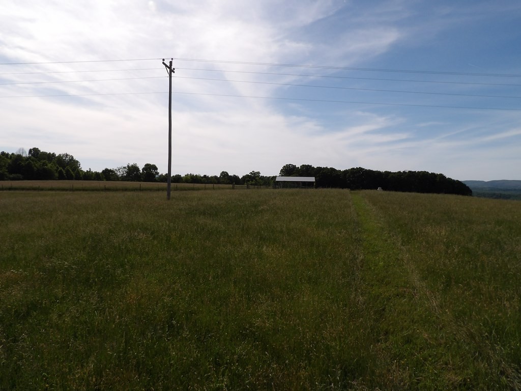 1030 Big Neck Road Grandview, TN 37337 - Photo 50 of 54 Gallery Image 50