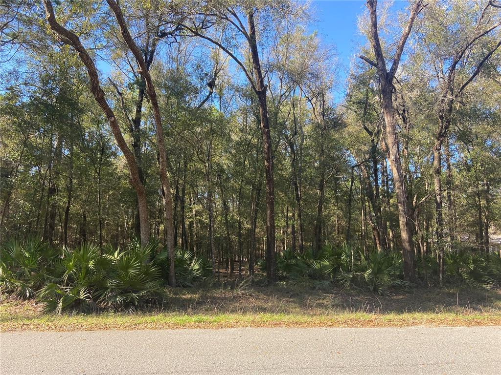 18 Southwest 73rd Loop Dunnellon, FL 34432 - Photo 1 of 1 Property View from SW 73 Loop