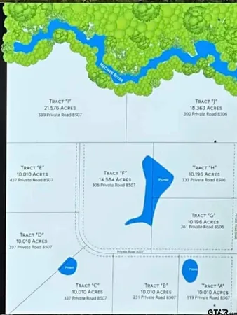 a view of a lush green forest