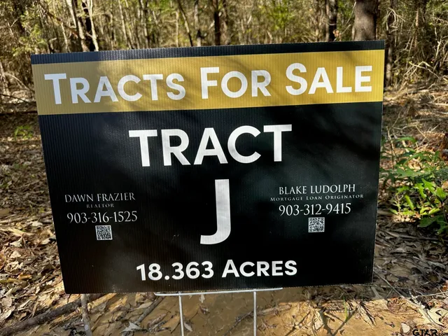 a view of a lush green forest with lots of trees