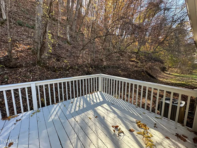 $259,000 | 29184 Tobias Drive, Meadowview, VA 24361