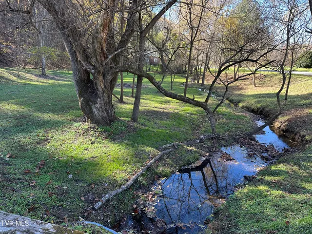 $259,000 | 29184 Tobias Drive, Meadowview, VA 24361