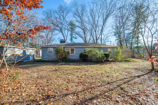 a view of a yard with large trees