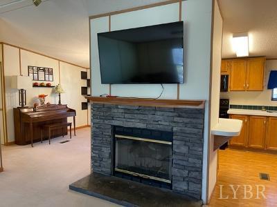 514 West Lake Road Spout Spring, VA 24593 - Photo 10 of 19 a living room with a fireplace and a flat screen tv