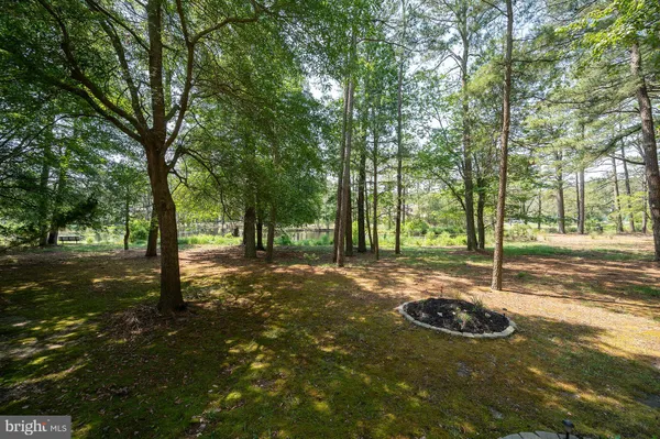 a view of a street with a trees