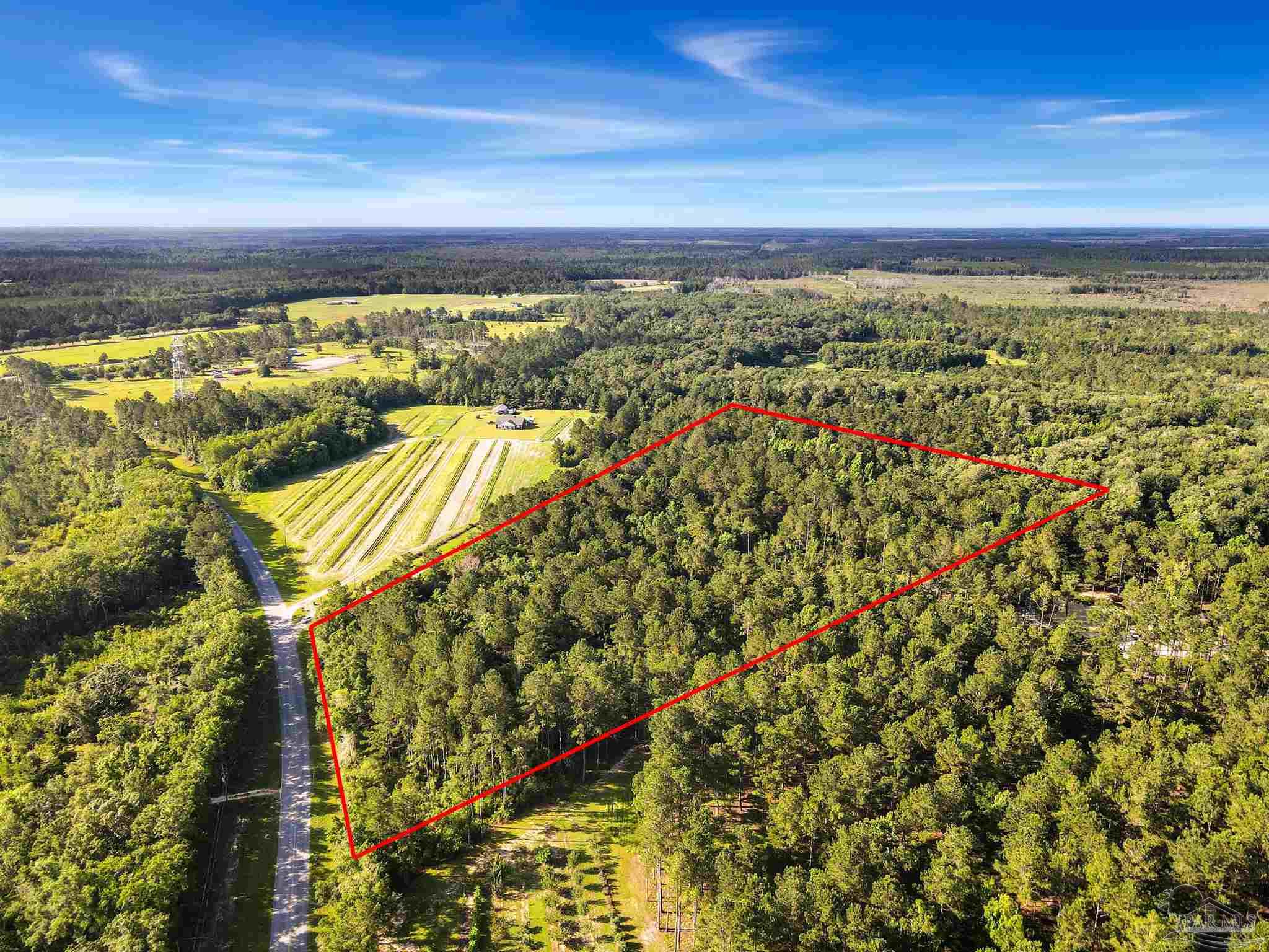 381 County Road Wewahitchka, FL 32465 - Photo 1 of 4